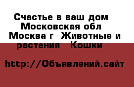 Счастье в ваш дом - Московская обл., Москва г. Животные и растения » Кошки   
